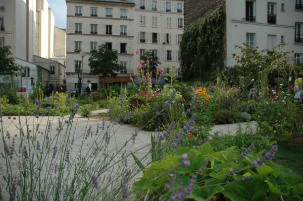 Jardin_partagé_Le_Poireau_Agile_(Paris_10e)