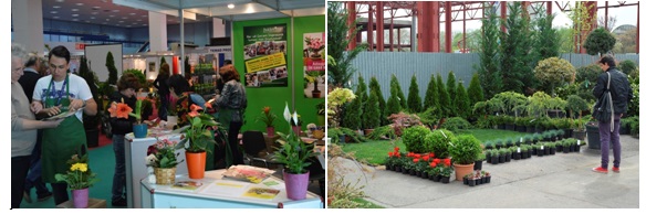 expo